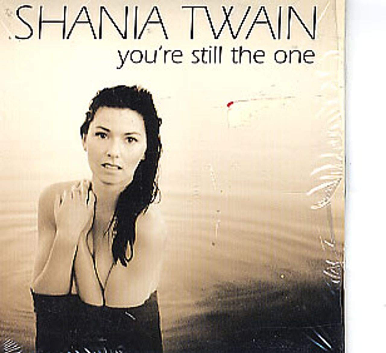 Still the One / Don't Be Stupid [Audio CD] Twain, Shania