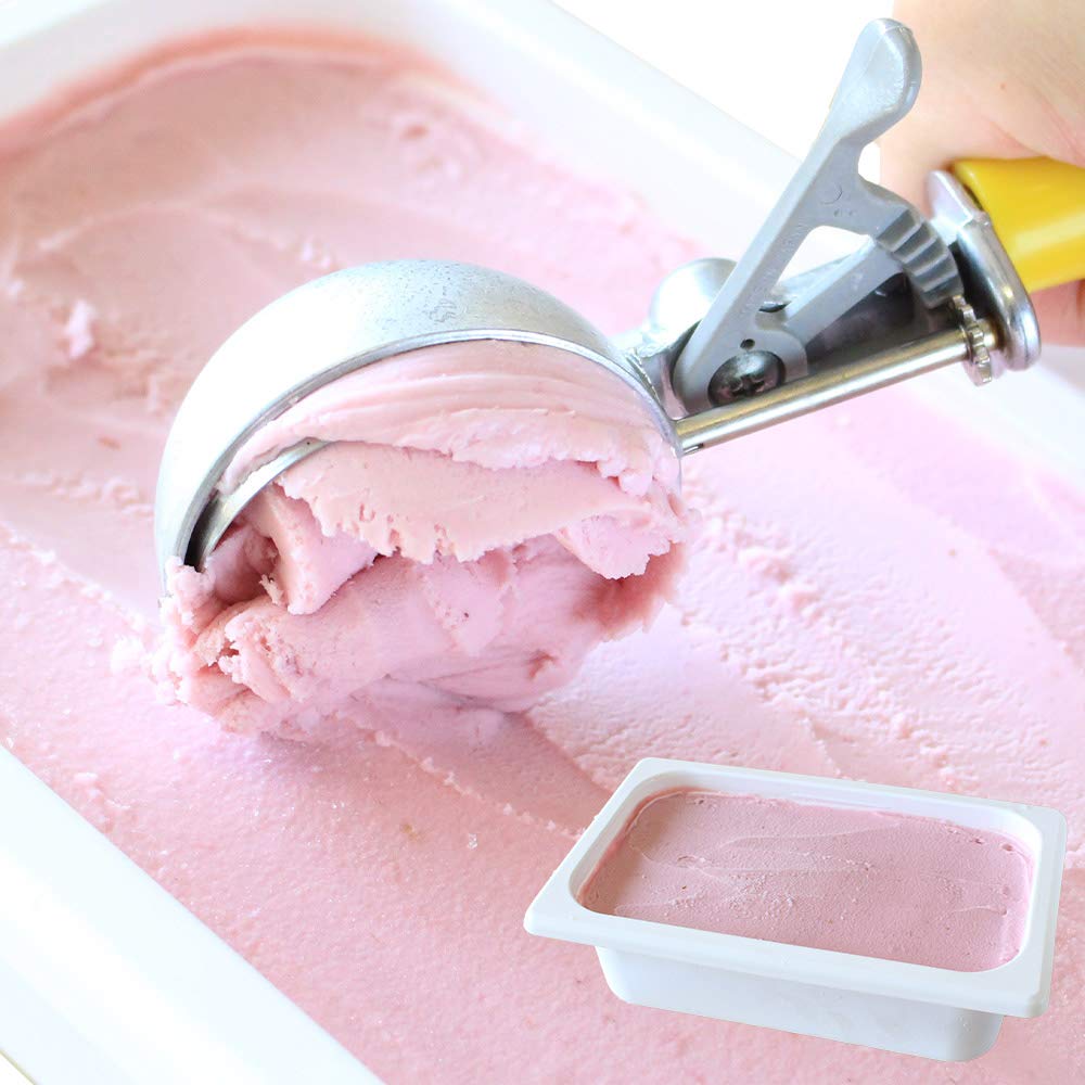 北国からの贈り物 アイスクリーム 業務用 ラズベリー 北海道 くりーむ童話 手づくり アイス