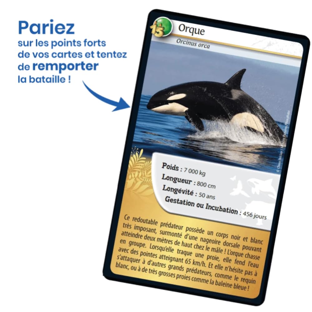 DEFIS NATURE - EDITION SPECIALE - ANIMAUX