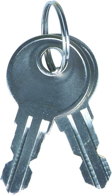 Two silver keys on a key ring, used for the cabinet lock.