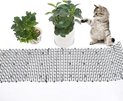 cat scat mat amazon