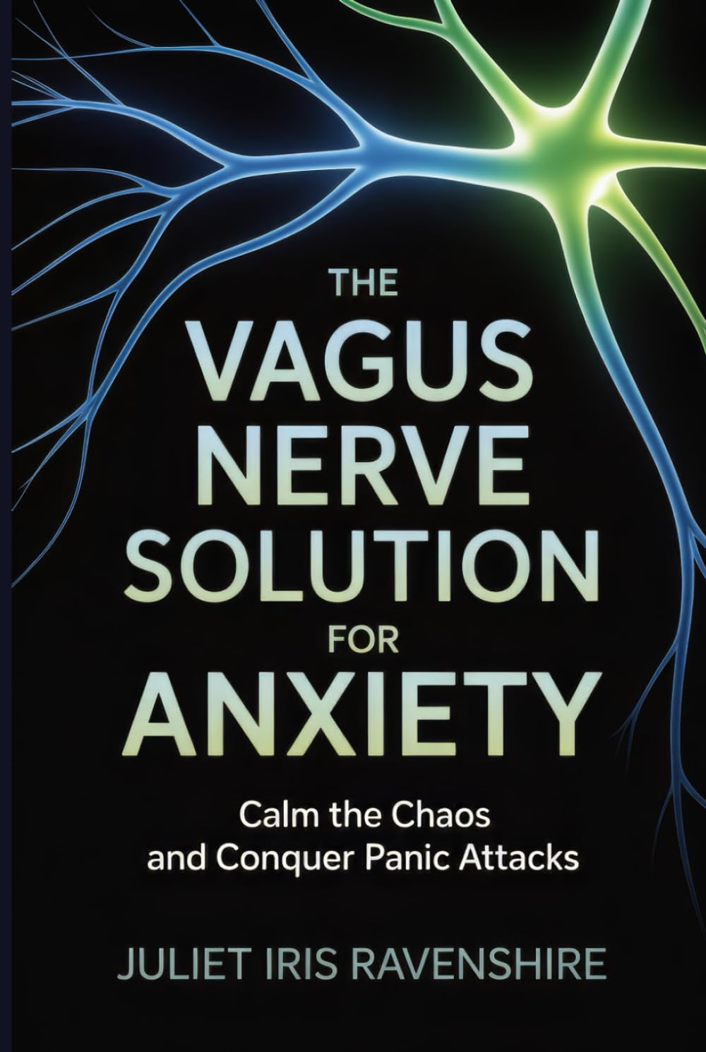 The Vagus Nerve Solution for Anxiety Calm the Chaos and Conquer Panic Attacks: A Practical Guide to Natural Nerve Training, Resetting Your Mind and Body