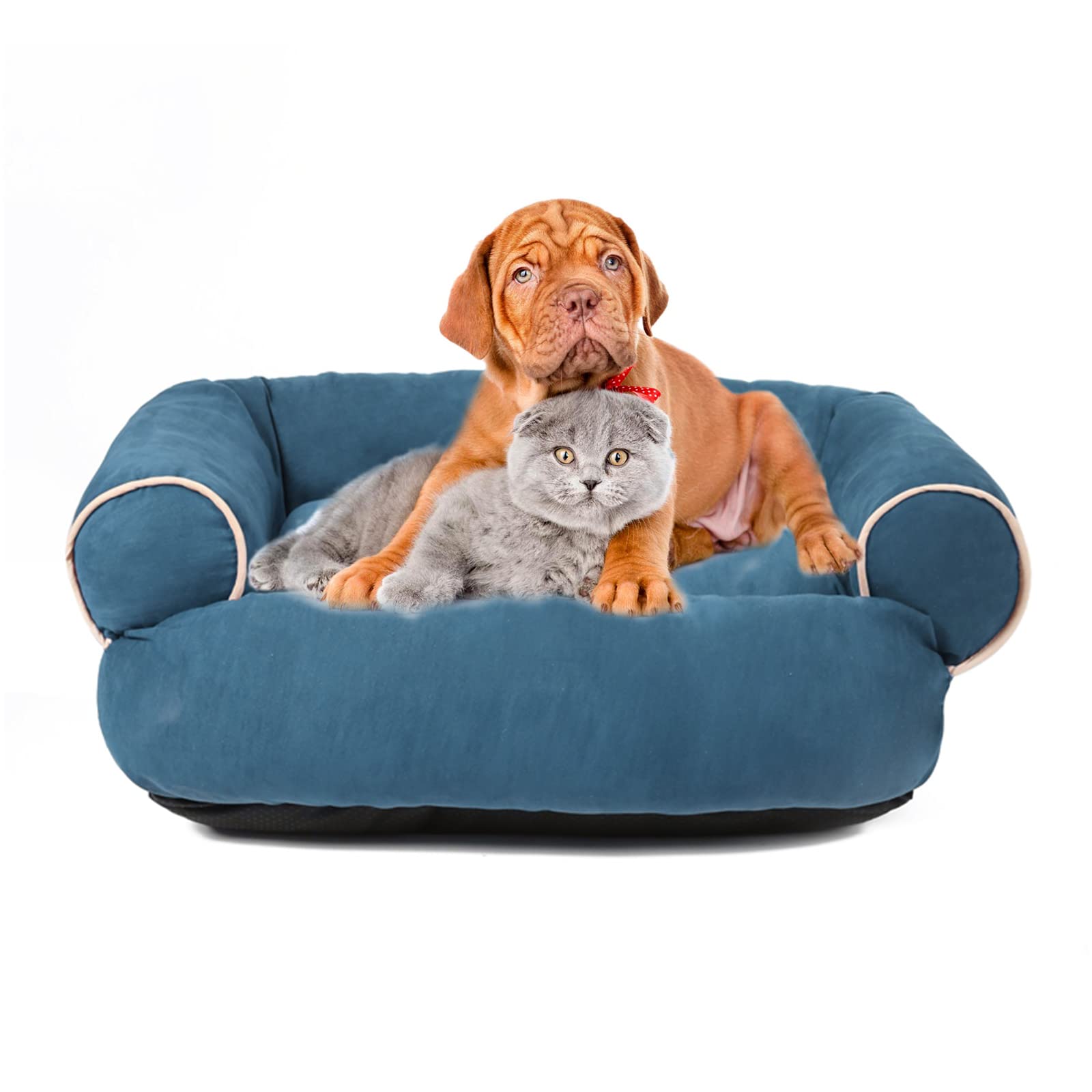 PETCUTE Ortopédica Cama Gato y Perros Pequeños,Lavable Cama para Mascotas de Espuma Viscoelástica,Super Cómoda Sofá Cama para Perros y Gatos con Fondo Antideslizante,Cama Perros Cojín Perros