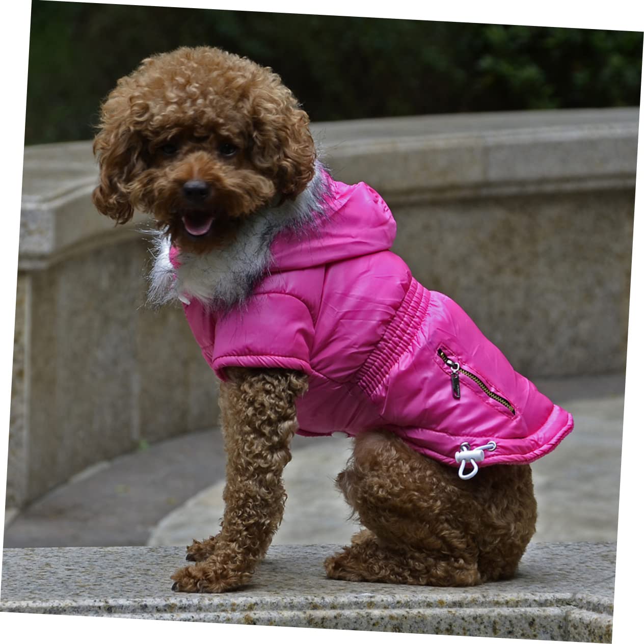 INOOMP 2 Pezzi Cappotto per Cani per Il Freddo Giacca per Cani Abbigliamento per Animali Domestici Mantieni Caldo Abbigliamento con Cerniera Costume per Animali Domestici