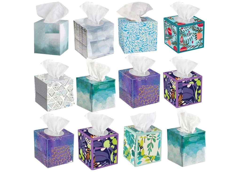 Facial Tissues 3-Ply 60 Count per Box Cube Box Design 12 Pack