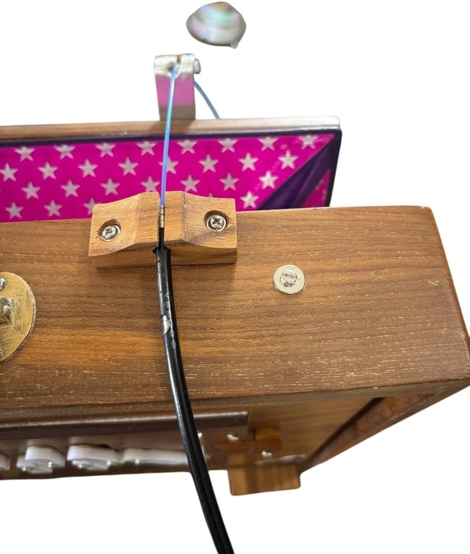 Shruti Box BK12564879854555 Grande boîte en teck pur 40,6 x 30,5 x 7,6 cm avec pédale réglée à 432 Hz