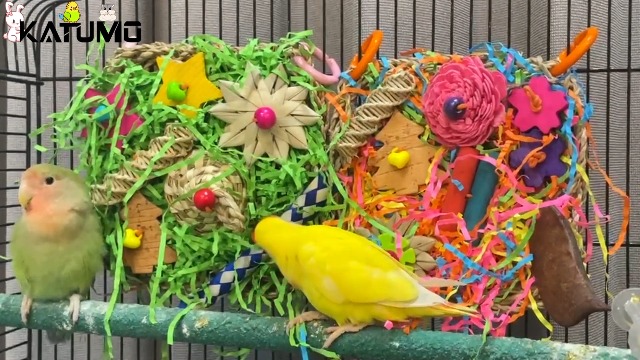 KATUMO Bird Toys, Parakeet Toys Bird Grass Mat Parrot Shredder Toys Lovebird Forage Toys for Cockatiel Conure Lovebird Parakeet Small-Medium Birds - image 8