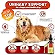 Hunde und Katzen Harnweg- und Prostata-Support (Urinary & Prostate) Gesundheit Kräuterergänzung für Haustiere, 60 ml, mit Kürbiskern, Sägepalme, Brennnessel und Cranberry