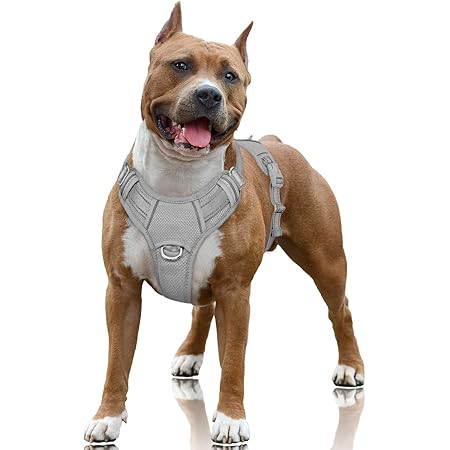 reddy dog harness amazon