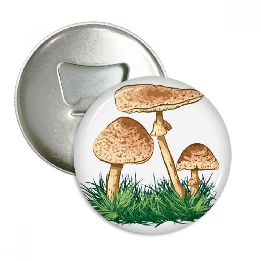 Badge Ouvre-Bouteille Plante Verte DIYthinker : Cadeau Idéal en Aimants Réfrigérateur 3pcs