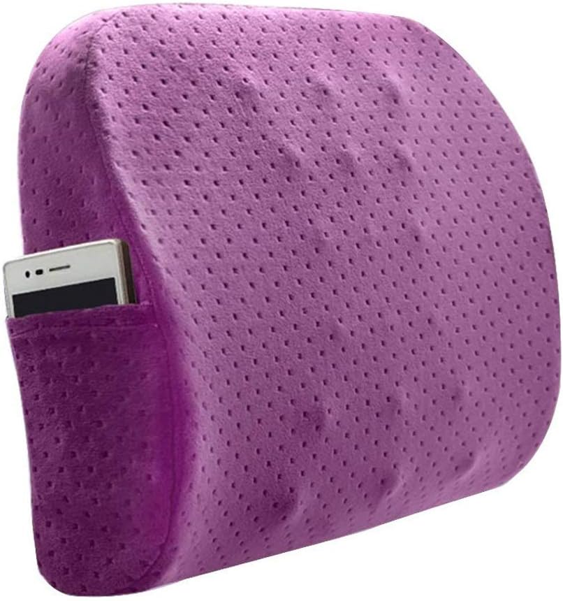 Lumbar Pillow - Memory Foam Lumbar Support Pillow Travel Back Cushion Portable with Seat Pad, Back Office Soft Rest Protector(D)