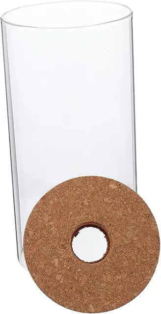 Bottiglia Terrario Borosilicato Moderna per Piante e Decorazione Casa Ufficio