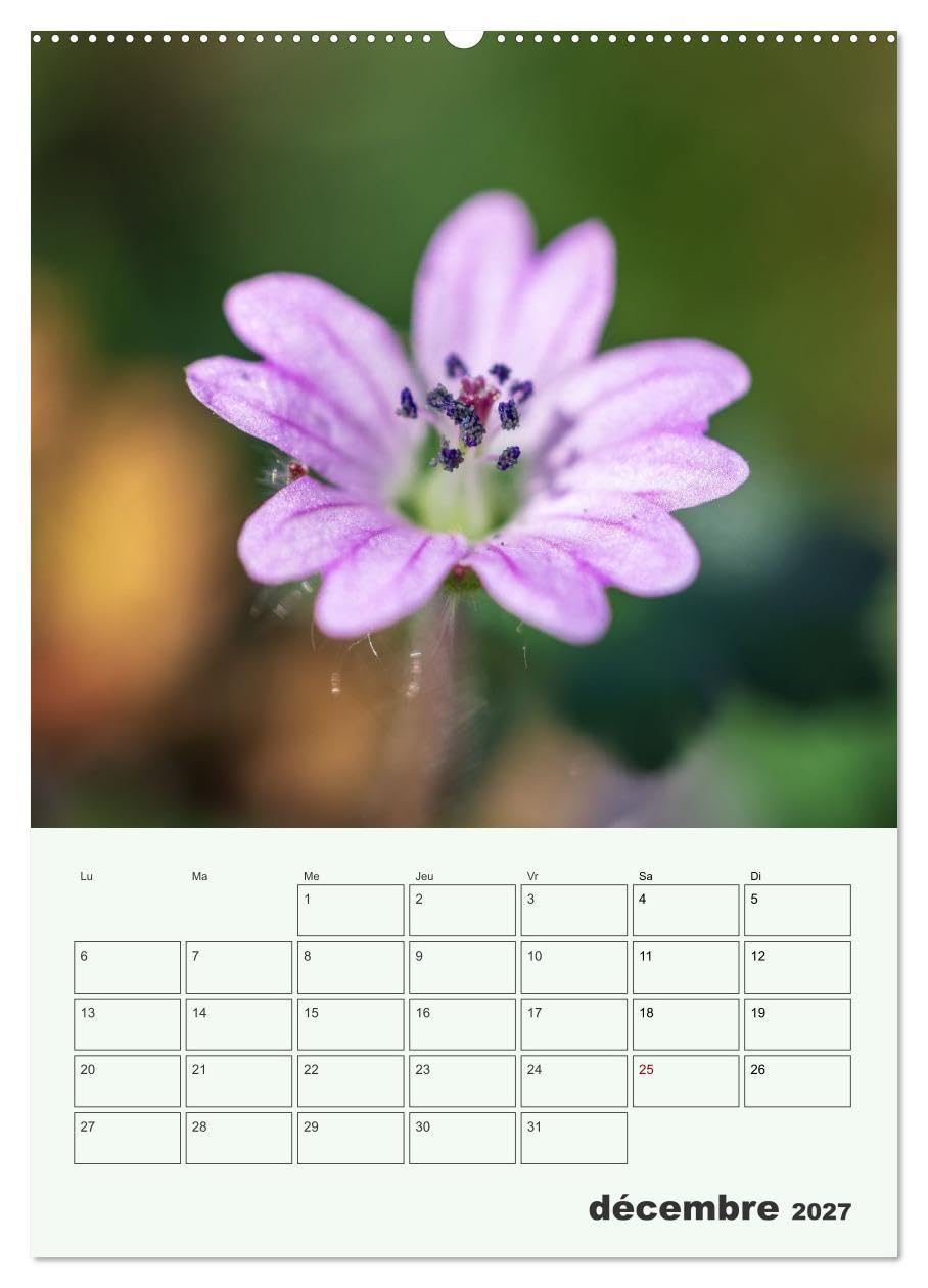 Les fleurs, éternelles éphemères (Calendrier mural 2027 DIN A2 horizontal), CALVENDO calendrier mensuel: Un calendrier poétique qui capture, mois ... fleurs dans toute leur splendeur éphémère.