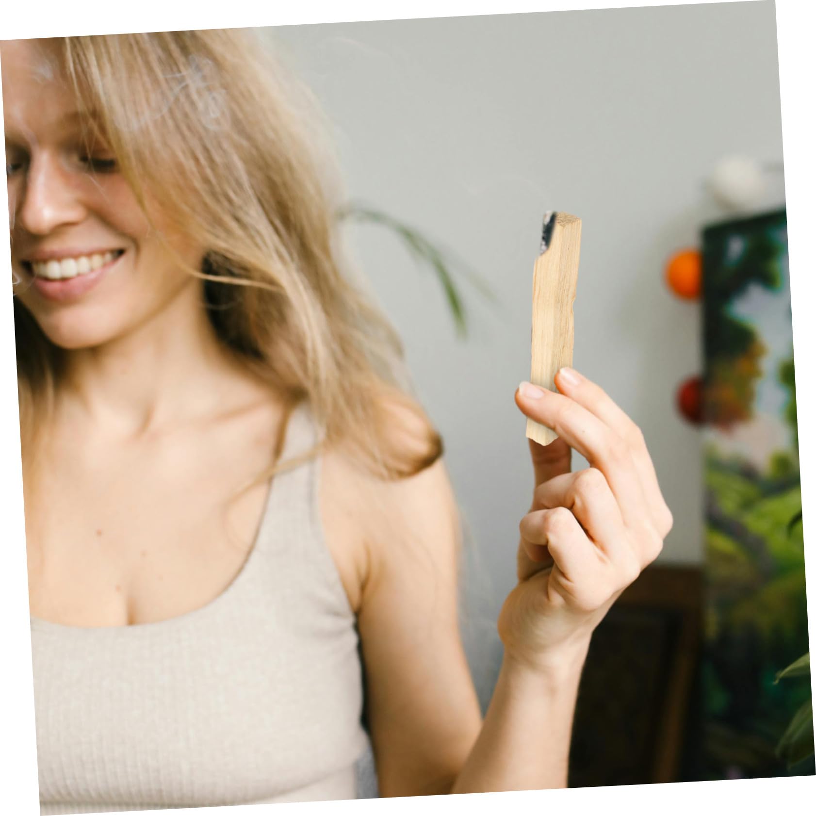 Inciensos de Santo Naturales para Aromaterapia Purificar y Relajar el Hogar Varillas de Madera Sagrada
