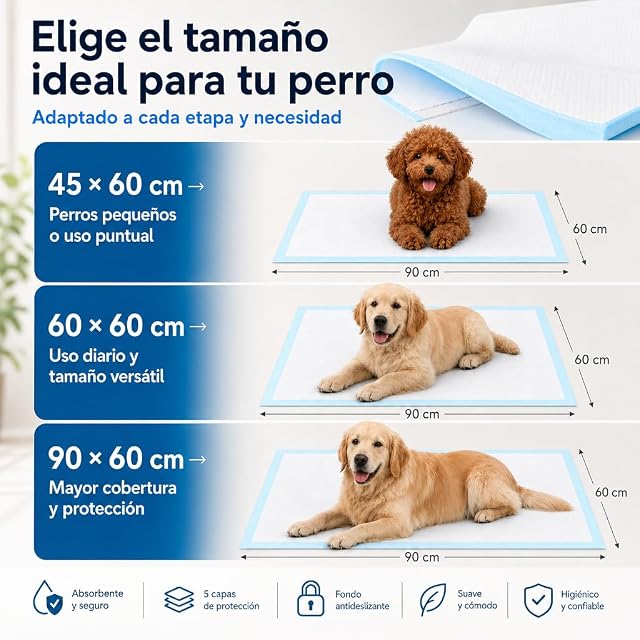 Foto 2 de 7 de Edipets, Empapadores Perros, 60x60 cm, (Blanco