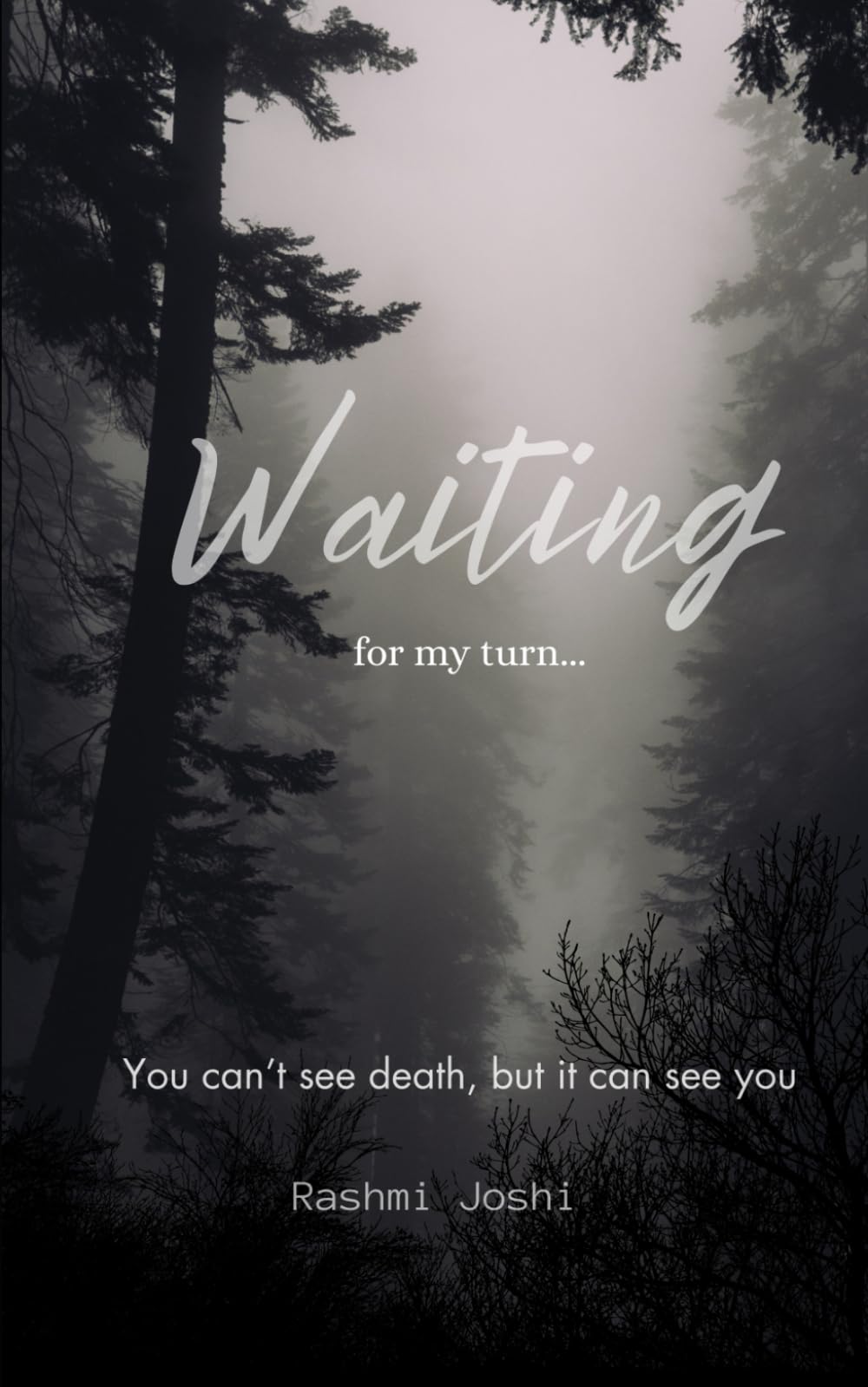 Waiting for my turn: You can't see Death, but it can see you... until you learn to see back