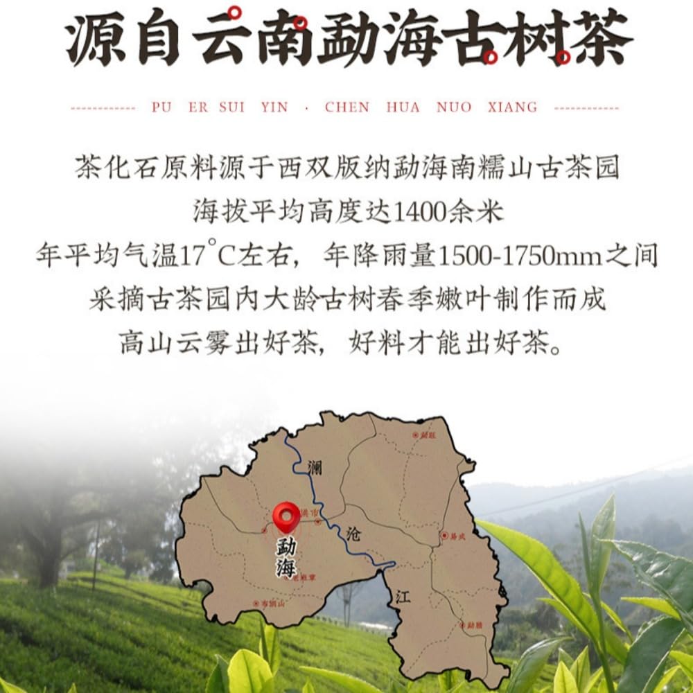 Tè Maturo Pu'er Invecchiato 26,46oz, Fossile Di Tè Con Aroma Glutinoso Da Alberi Antichi in Yunnan Menghai 750g
