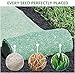 Grass Seed Mat Roll - Biodegradable Lawn Seed Mat - Backyard Plant Growing Grass Seed Germination Blanket one-Piece Solution-just Water and Grow-not Fake or Artificial Turf