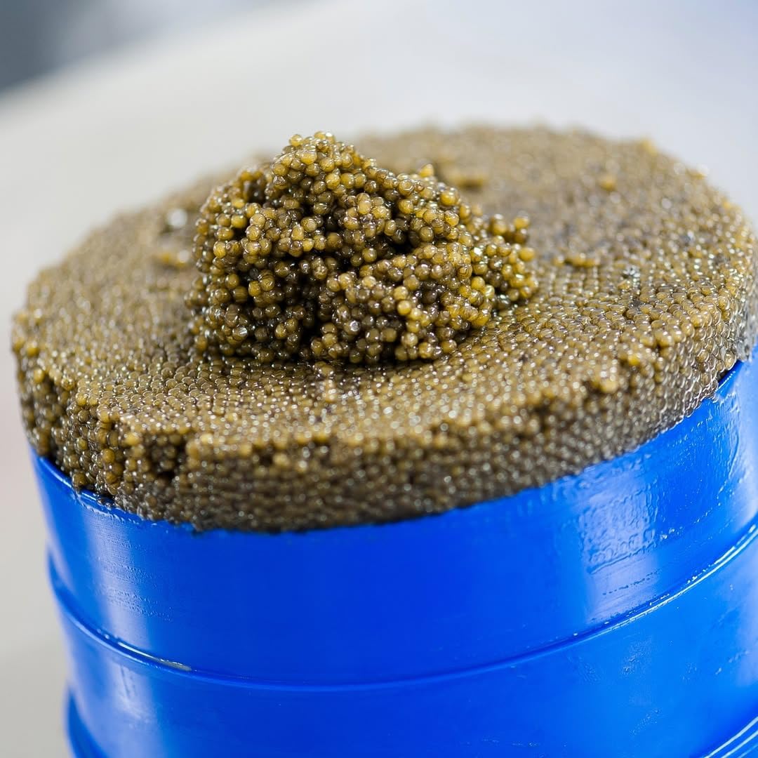 Caviar Oscietra/Asetra 2 x 250 gr