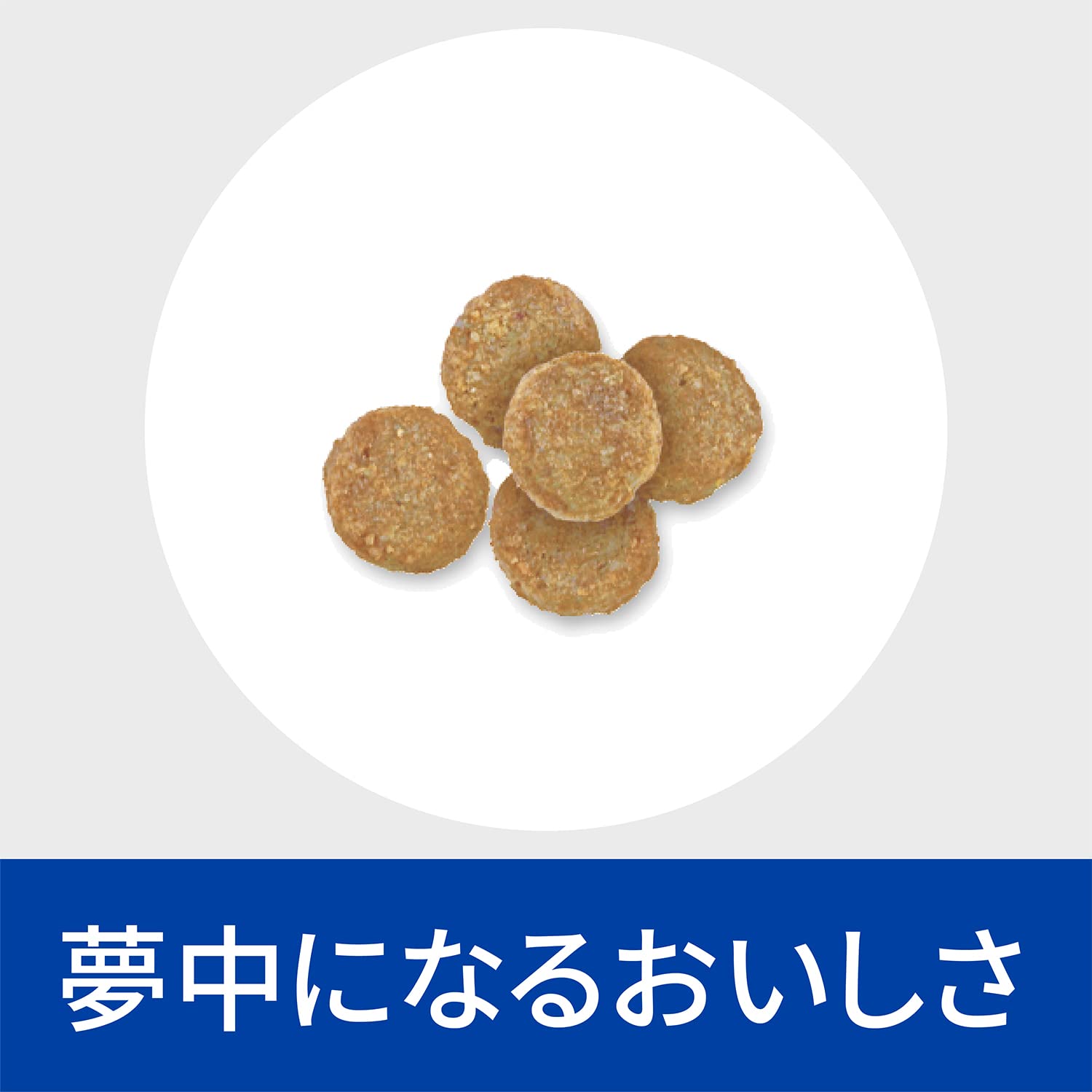 ドッグフード　メタボリックスモビリティ ヒルズ メタボリックス＋モビリティ小粒 1kg | ジョイフル本田