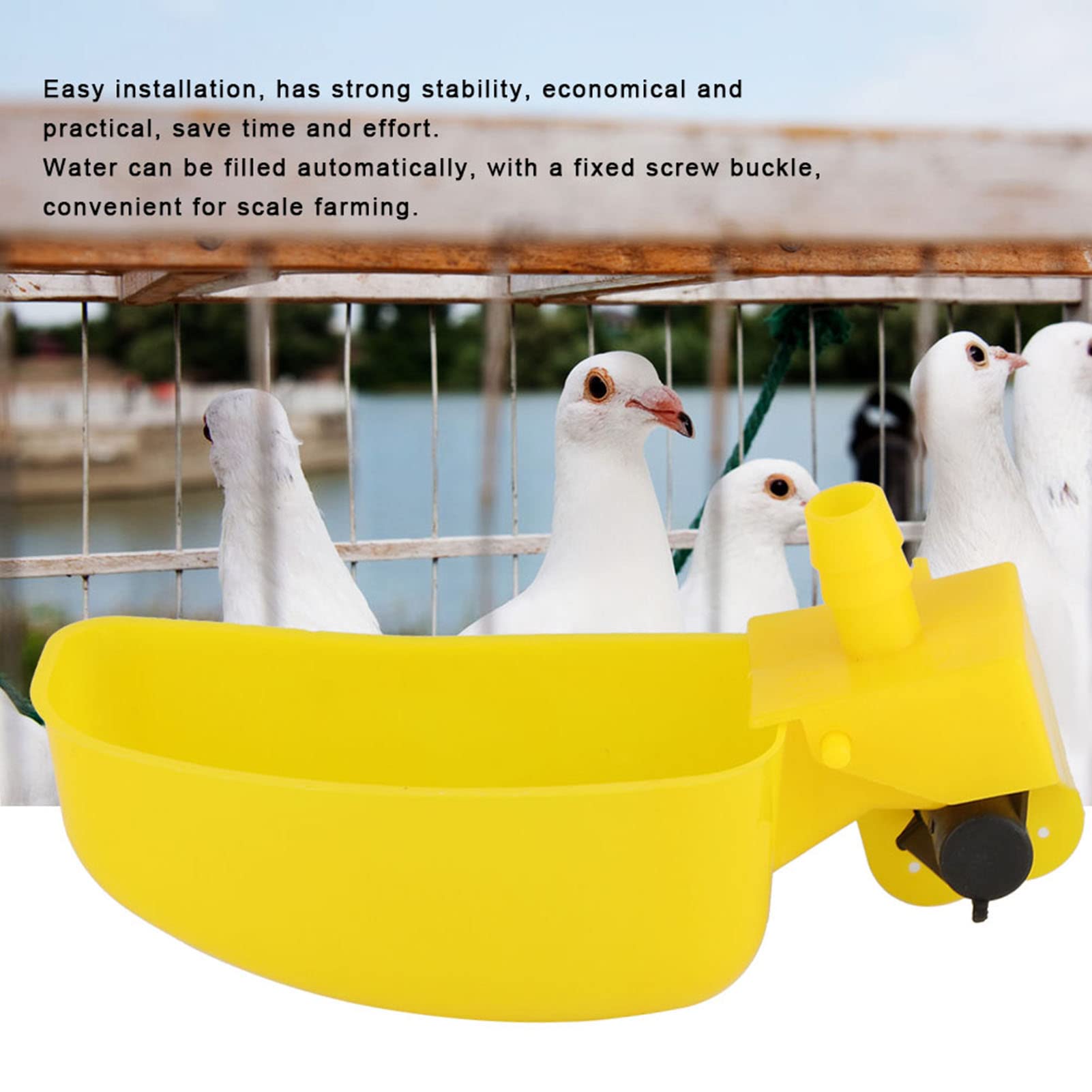 12pcs Pigeons Automatic Bird Waterer, Quail Water Cups, Pigeons Waterer Feeder Drinking, Poultry Bird Watering System Farming Tools for Chicken Quail Pigeons