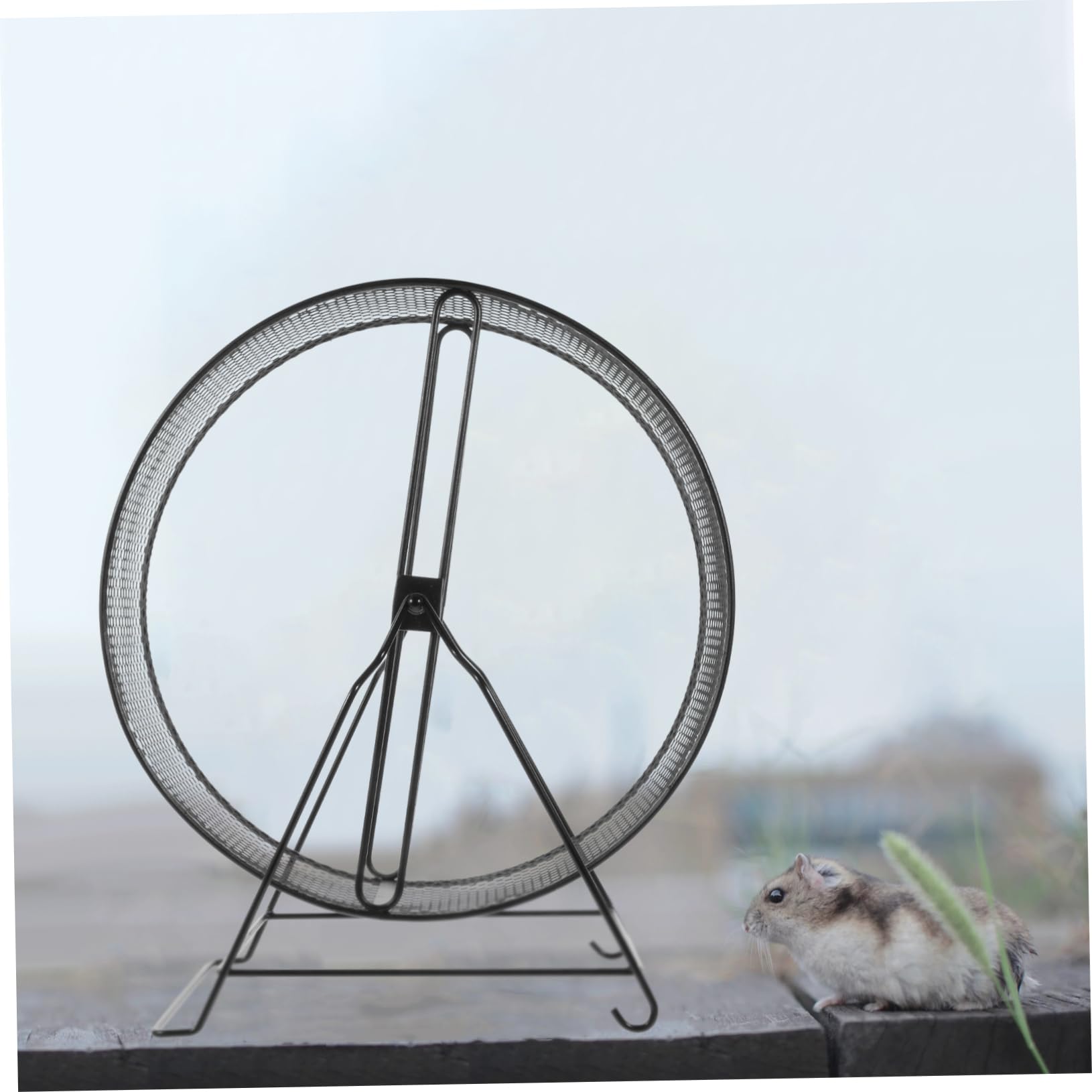 Ruota per Criceto Silenziosa con Staffa a Vite in Ferro Nero | Giocattolo per Roditori, Accessori Inclusi con Rack, per Criceto e Riccio