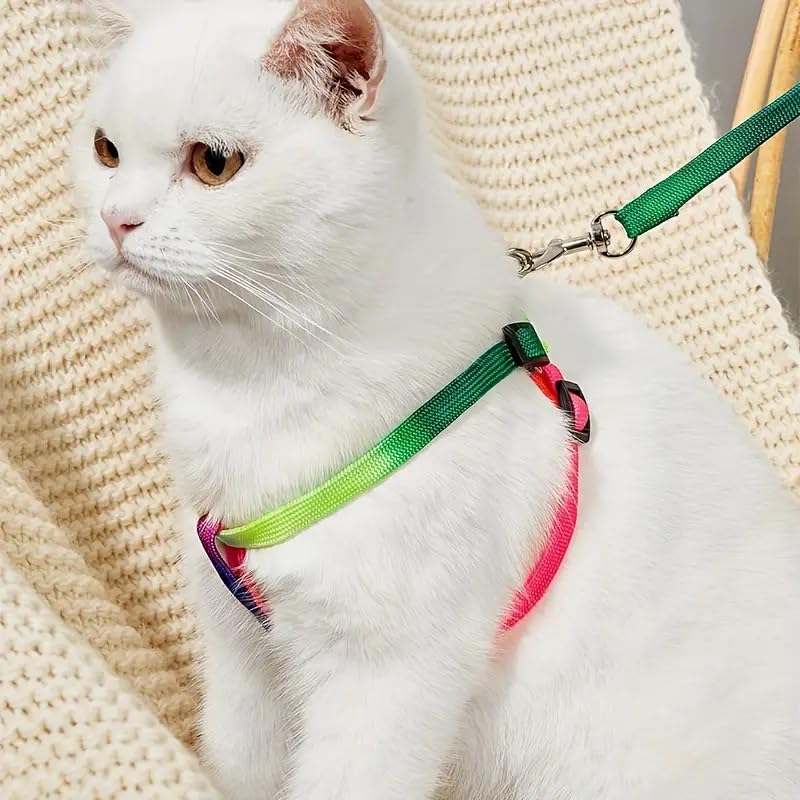 RvPaws Cats 10MM Durable Nylon Colourful Harness Set | Adjustable Rainbow Color Harness with Leash | Soft Walking Harness and Leash for cat & Kitten - 1Pcs (B0CX23JH1B) Amazon Price History, Amazon Price Tracker