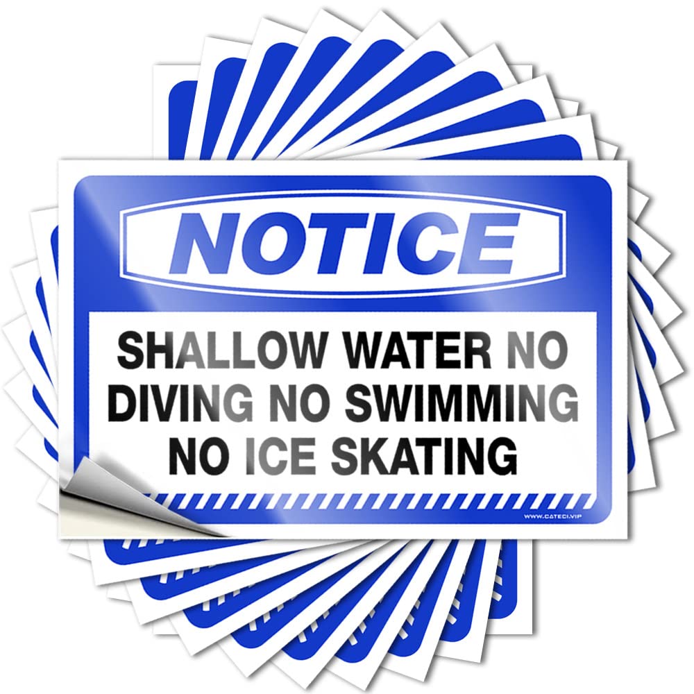 Bedroom Door Decor Garage Tattoo | Notice Shallow Water No Diving No Swimming No Ice Skating Tiny for Adulting Decor(6X9CM)