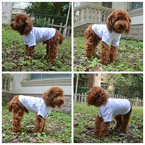 Lovelonglong 2019 Pet Clothing Dog Costumes Basic Blank T-Shirt Tee Shirts For Small Dogs White Xs #TOP5