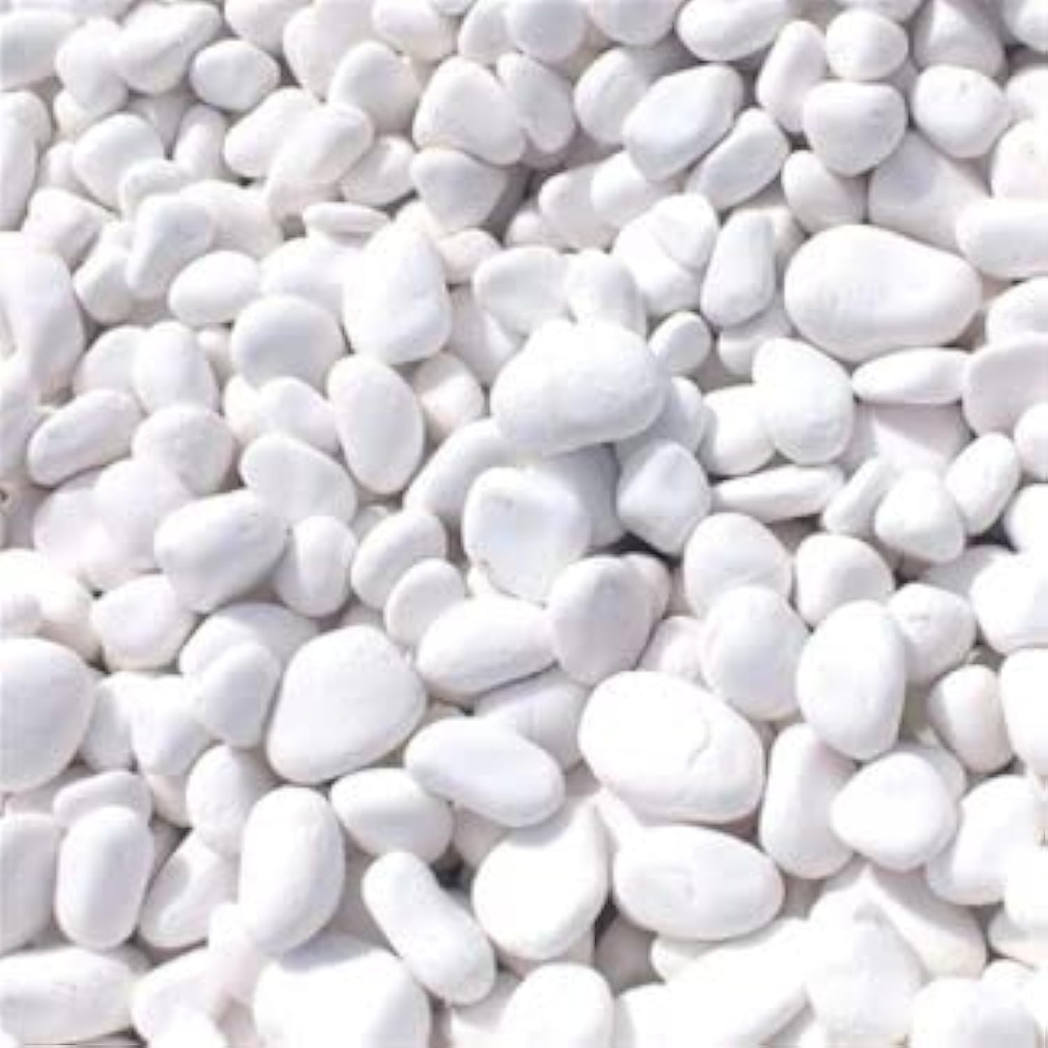 Generic Snow White Decorative Pebbles | 1-2cm Natural Stones for Garden, Plants, Succulents, Vase, Landscape, Outdoor, 18-20KG Bag