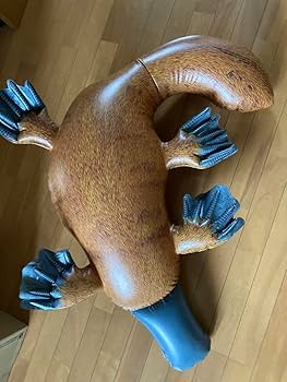 Amazon.co.jp: カモノハシのフロート オーストラリア お土産 : おもちゃ