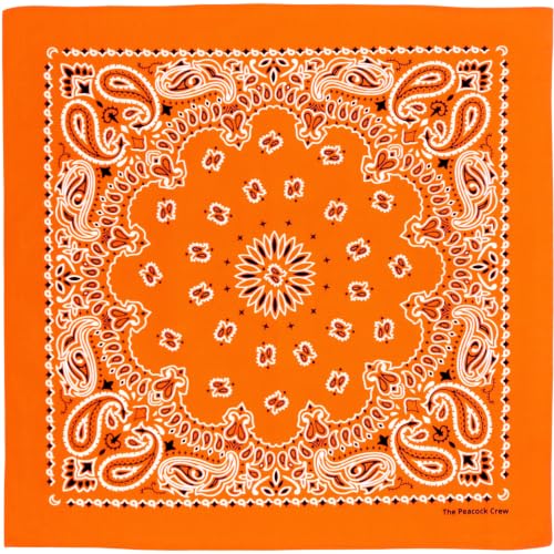 View 2