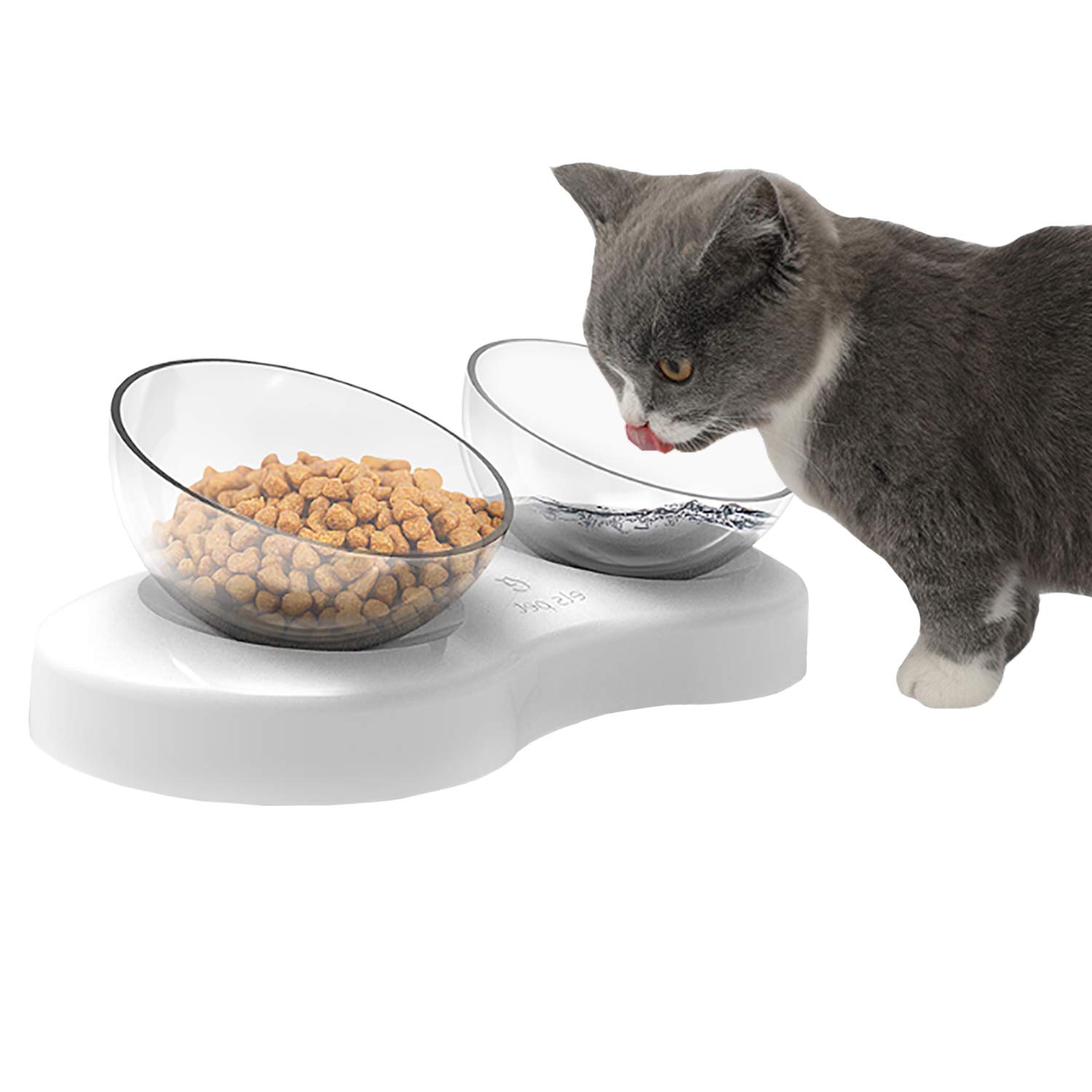 best cat feeding bowls