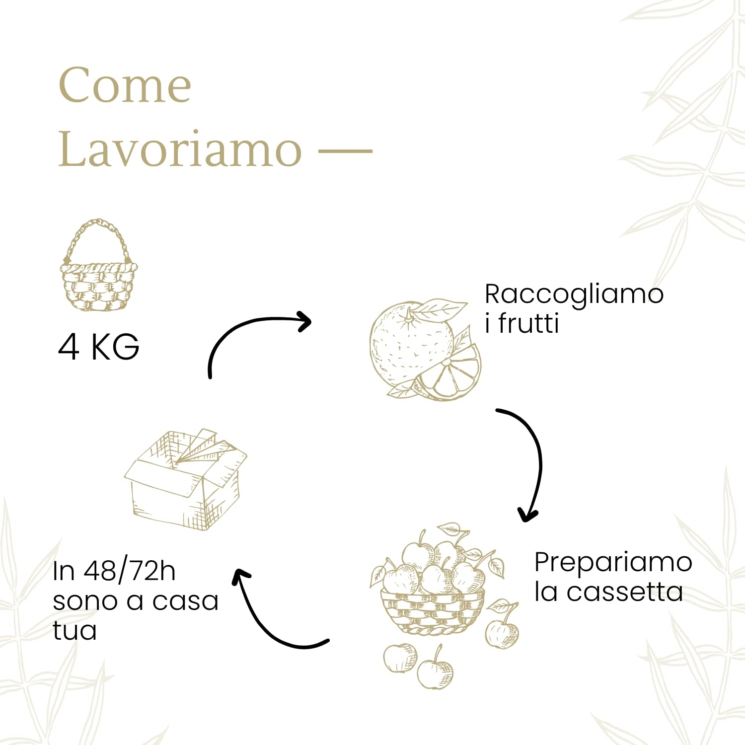 Limoni 100% Siciliani e 100% Biologici - Massima Freschezza e Sostenibilità, Limoni Raccolti Direttamente dai Nostri Alberi - 4 kg - CERTIFICATI BIOLOGICI QUESTO FA LA DIFFERENZA