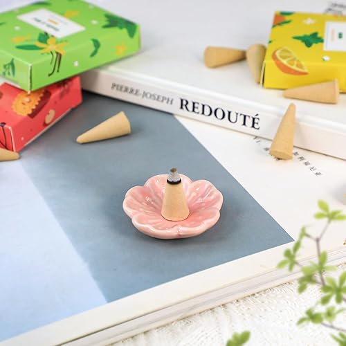 Miniatura 3 de STRN Conos de incienso, 120 conos perfumados para todas las estaciones, varios aromas de incienso con soporte para incienso, vainilla y menta, coco,