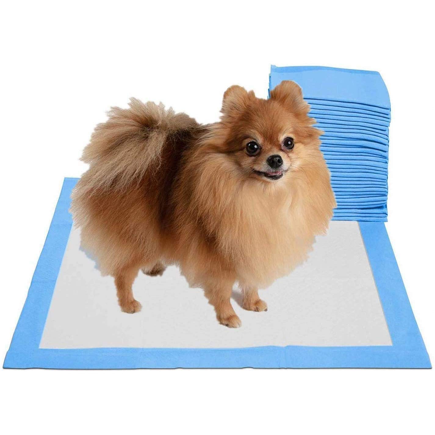 Rag & Sak® Pet Pee Pads Disposable Absorbent Quick Drying Leak proof Pee Pads for Potty Training For Pets (100 Pcs-45x33CMS)