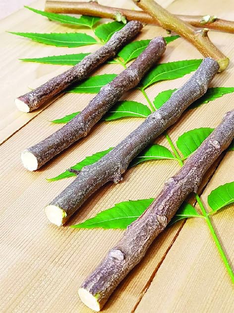 Natural Neem Stick Datun Brush para dientes fuertes, Nim Datun No Germs, 15,24 cm, 156