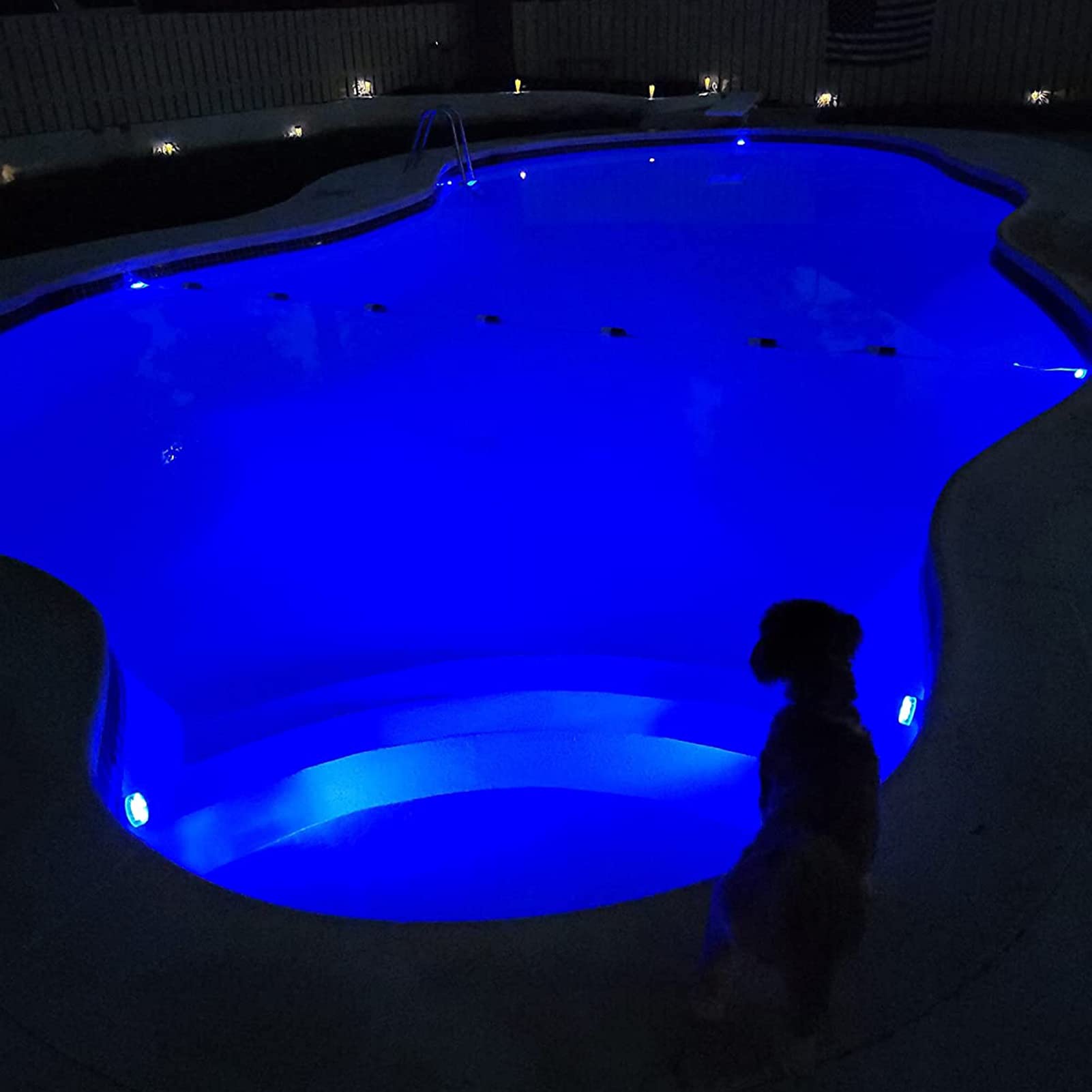 Luces Sumergibles 16LED con RF Remota (164 Pies), 3.3"Cambio de Color Luces Subacuáticas para Estanques para Bañera, Jacuzzi, SPA, Fiesta (Color : 2pcs)