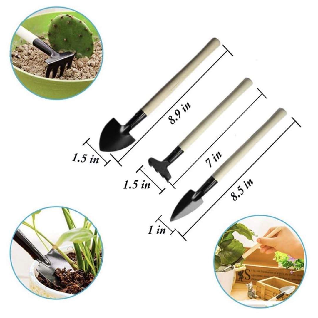 Set di strumenti, kit per trapianto manuale da mini giardino da 14 pezzi, strumenti professionali per la cura delle piante per cactus