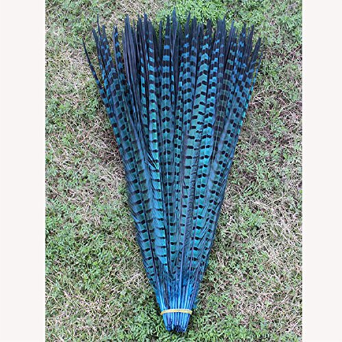 Lot de 10pcs Naturelles Plumes de Faisan pour Artisanat et Décoration de Chapeau Spectacle Loisir Art - Bleu Clair Cover