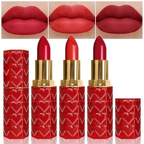 evpct Juego de 3 lápices labiales para mujer, color rojo rubí oscuro, mate, de terciopelo sedoso, resistente al agua, de larga duración, a prueba de