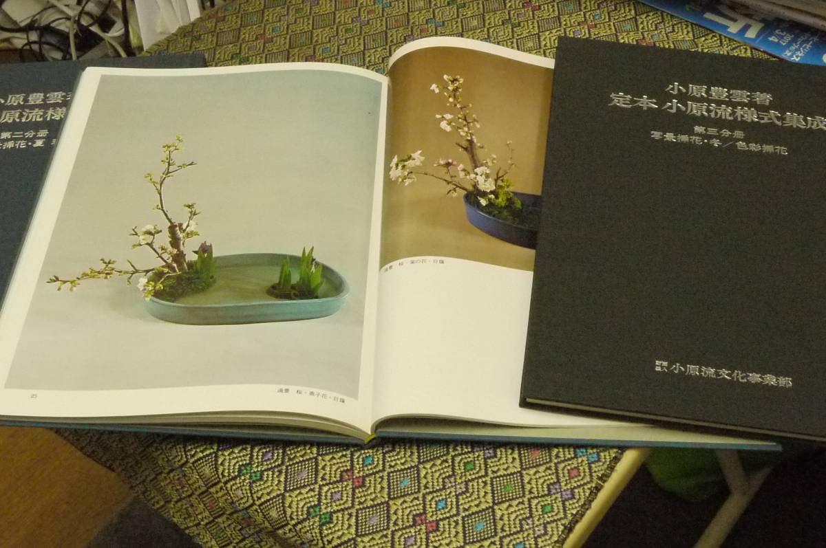 Amazon.co.jp: 定本 小原流様式集成 3冊組 : おもちゃ