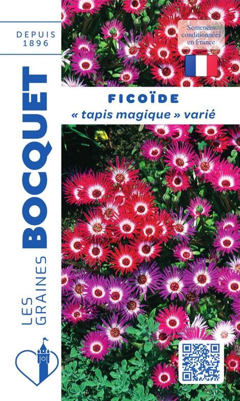 Sachet de graines de Ficoïde Tapis magique en mélange - 1 g - fleur annuelle - LES GRAINES BOCQUET