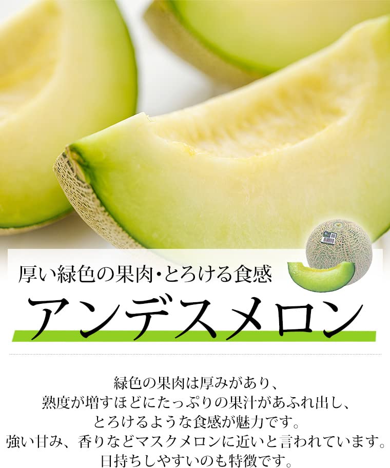 Amazon.co.jp: メロン クインシーメロン アンデスメロン エルソル