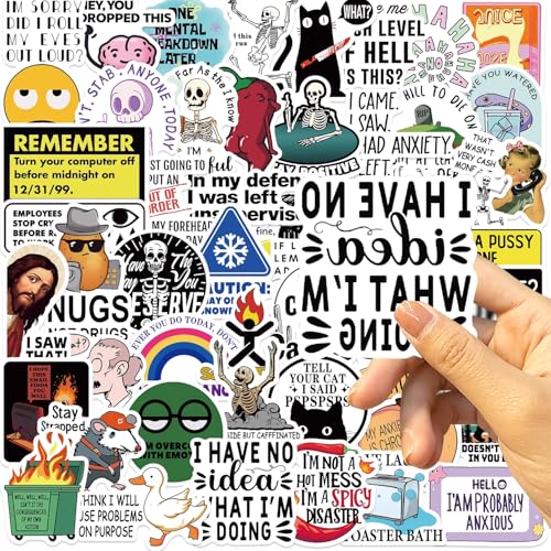 Autocollants amusants – Lot de 100 autocollants graffiti, autocollants humoristiques pour ordinateur portable, imperméables, résistants aux rayures, créatifs pour voiture, mur, meubles et plus encore