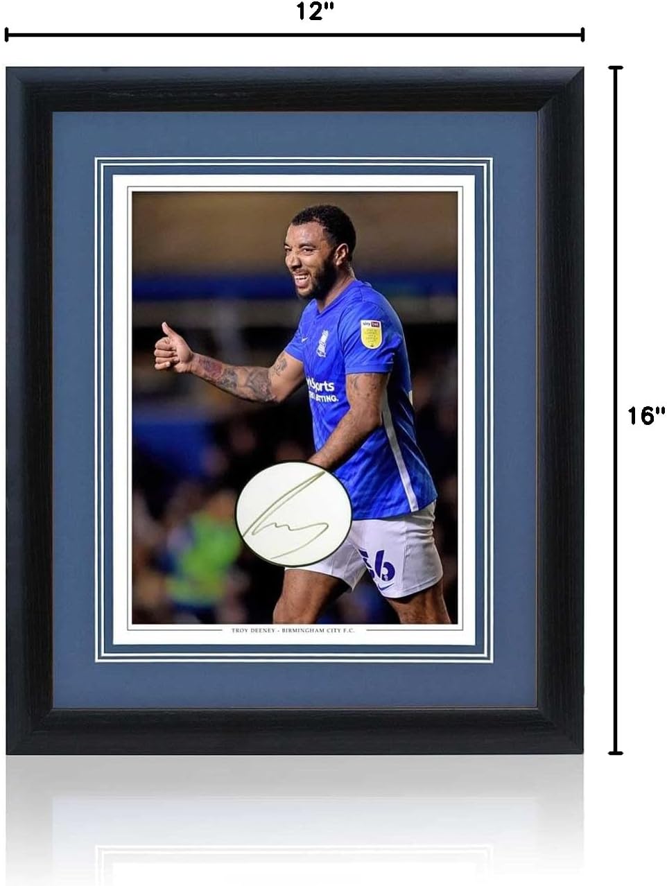 Memorabilia Kings Troy Deeney Hand Signed Birmingham City 16x12'' Photograph AFTAL COA