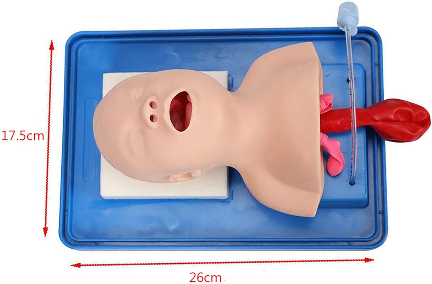 Manichino avanzato di intubazione tracheale infantile,simulatore intubazione endotracheale,kit aiuto didattico per gestione delle vie aeree pediatriche per la formazione delle competenze