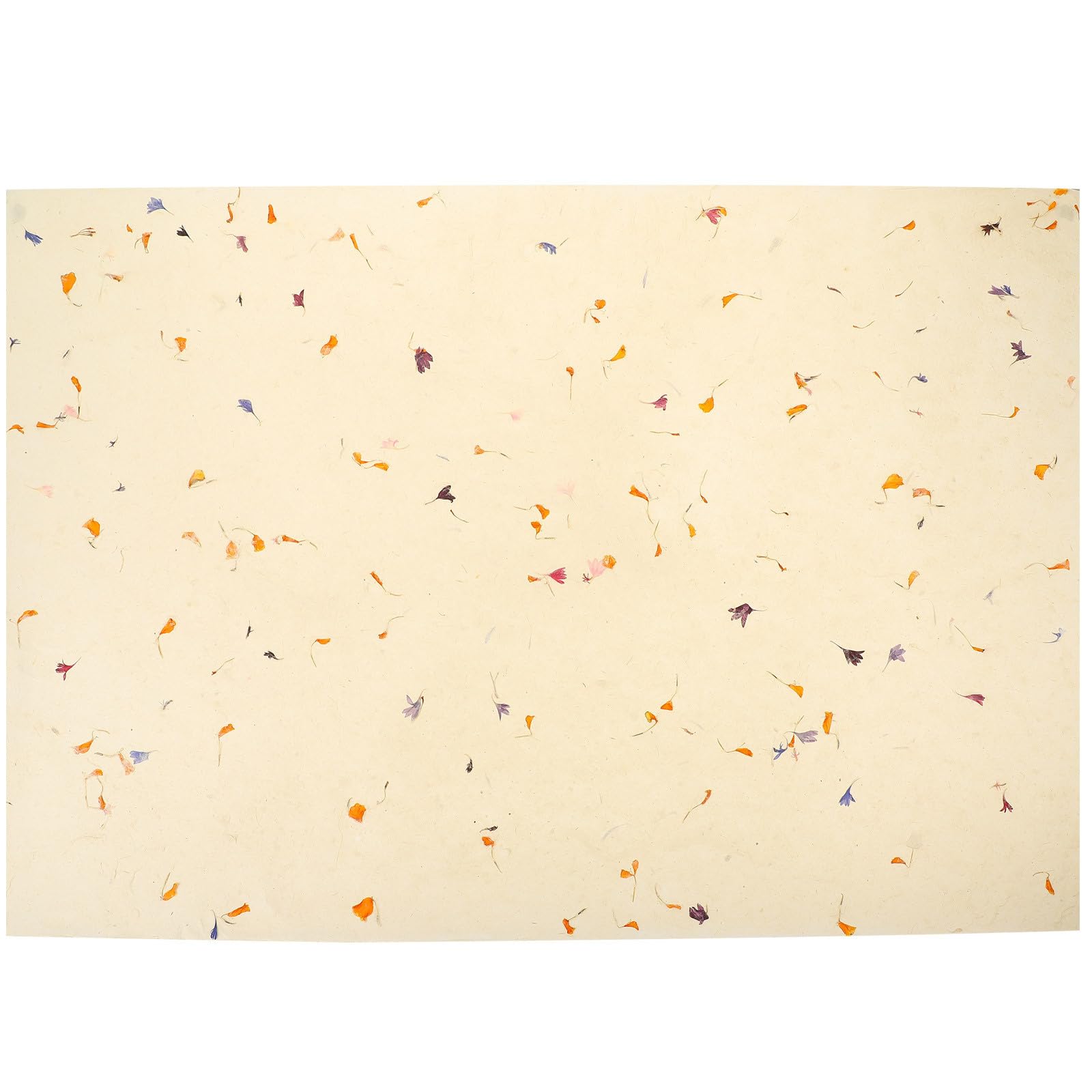 FRCOLOR Lot De 4 Feuilles De Papier Floral Motif Floral Naturel Facile À Plier Pour De Anniversaire Célébration Recyclable