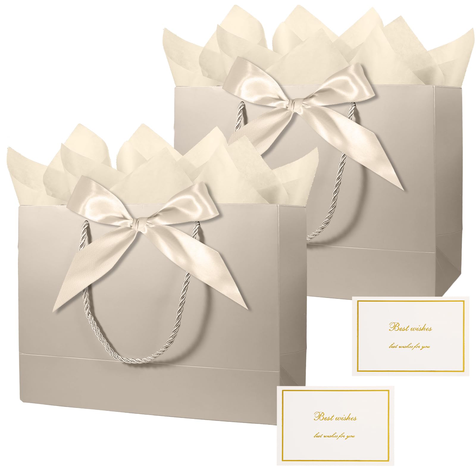 Bliceon 2 Pcs Medium Gift Bags for Presents, Small Gift Bags with Wrapping Paper, Birthday Gifts Bag for Women Men, Celebrations, Birthday Party, Bride Wedding, Valentine's Day (Champagne)