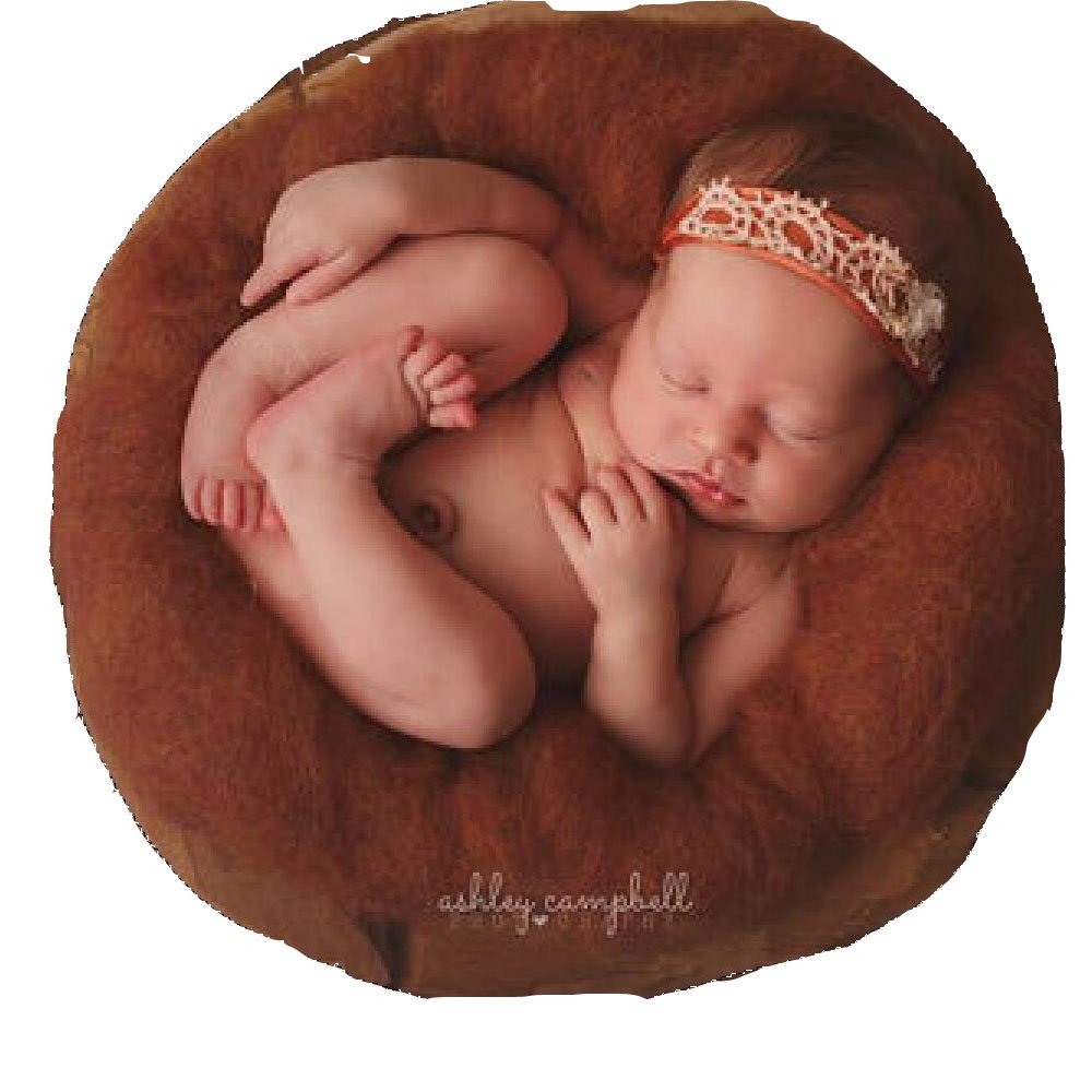 Brightmenyouth Merino Wool Felted Wrap Receiving Blankets Wool Layer Roving Fluff Baby Newborn Photo Prop Basket Filler Fluff Photography Basket Filler (Brown)